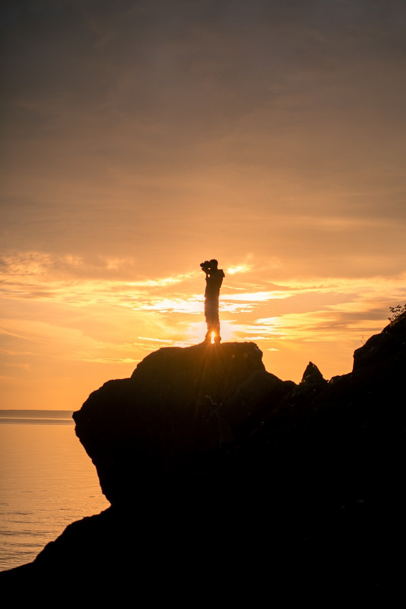 Acupuncture Benefits for Stroke Survivors A Comprehensive Overview Building Hope Now